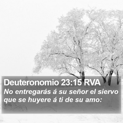 Deuteronomio 23:15 RVA Bible Verse Image