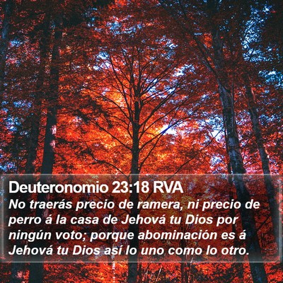 Deuteronomio 23:18 RVA Bible Verse Image