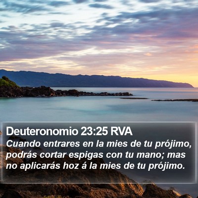 Deuteronomio 23:25 RVA Bible Verse Image