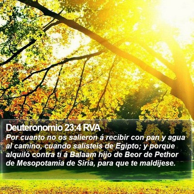 Deuteronomio 23:4 RVA Bible Verse Image