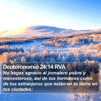 Deuteronomio 24:14 RVA Bible Verse Image