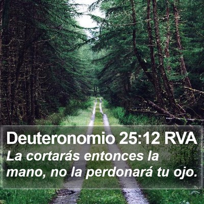 Deuteronomio 25:12 RVA Bible Verse Image