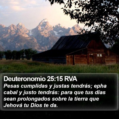 Deuteronomio 25:15 RVA Bible Verse Image
