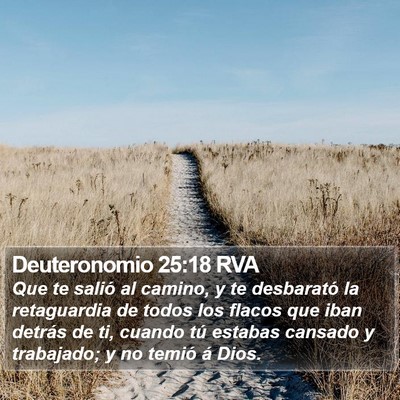Deuteronomio 25:18 RVA Bible Verse Image