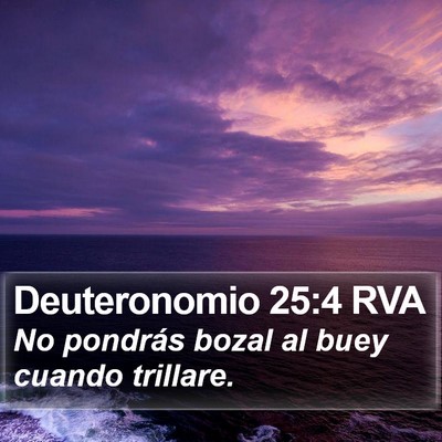 Deuteronomio 25:4 RVA Bible Verse Image