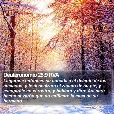 Deuteronomio 25:9 RVA Bible Verse Image