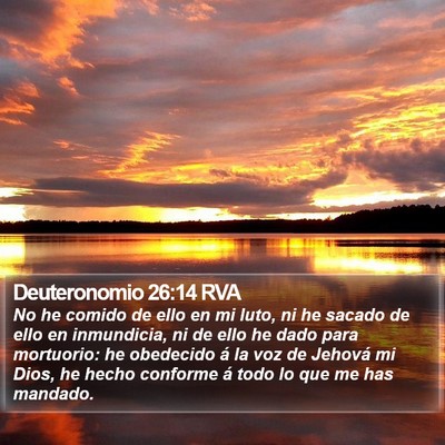 Deuteronomio 26:14 RVA Bible Verse Image