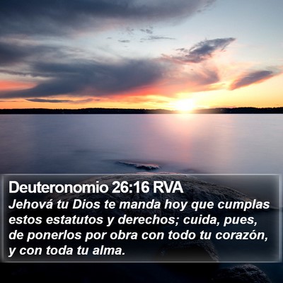 Deuteronomio 26:16 RVA Bible Verse Image