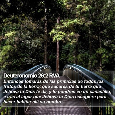 Deuteronomio 26:2 RVA Bible Verse Image