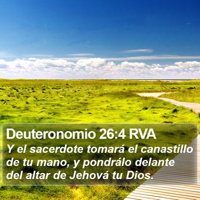 Deuteronomio 26:4 RVA Bible Verse Image