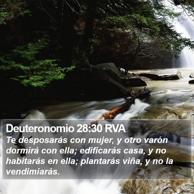 Deuteronomio 28:30 RVA Bible Verse Image