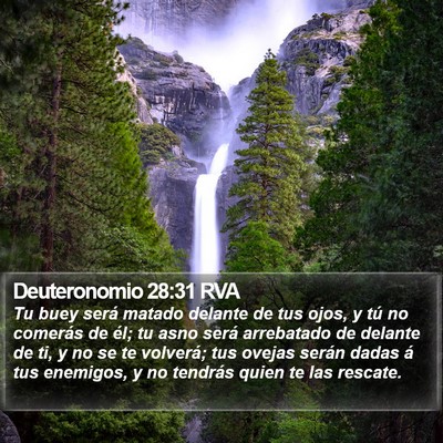 Deuteronomio 28:31 RVA Bible Verse Image