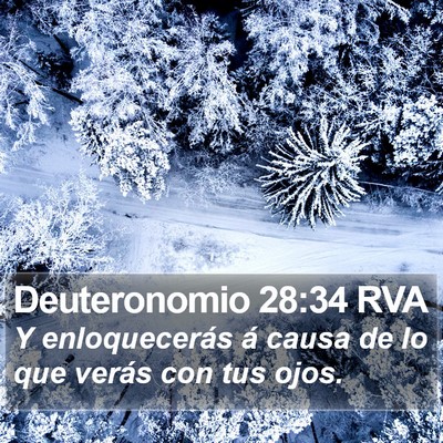 Deuteronomio 28:34 RVA Bible Verse Image