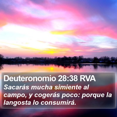 Deuteronomio 28:38 RVA Bible Verse Image