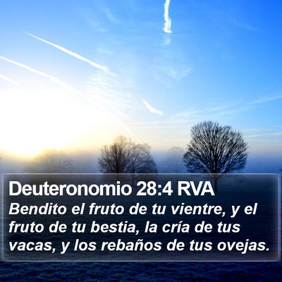 Deuteronomio 28:4 RVA Bible Verse Image