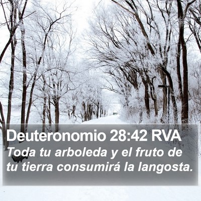 Deuteronomio 28:42 RVA Bible Verse Image