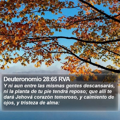 Deuteronomio 28:65 RVA Bible Verse Image