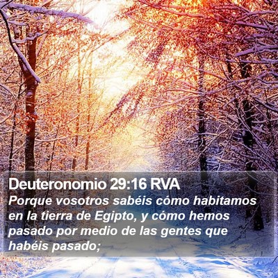 Deuteronomio 29:16 RVA Bible Verse Image