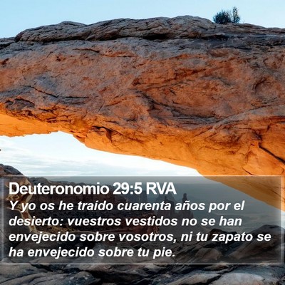 Deuteronomio 29:5 RVA Bible Verse Image