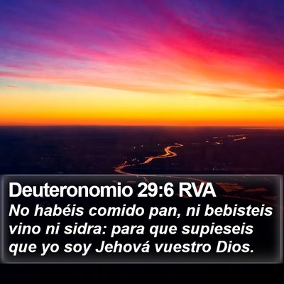 Deuteronomio 29:6 RVA Bible Verse Image