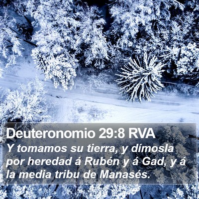Deuteronomio 29:8 RVA Bible Verse Image