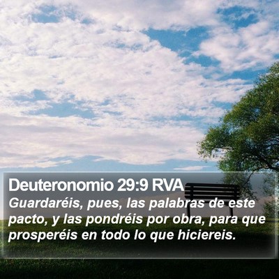 Deuteronomio 29:9 RVA Bible Verse Image