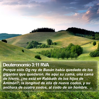 Deuteronomio 3:11 RVA Bible Verse Image