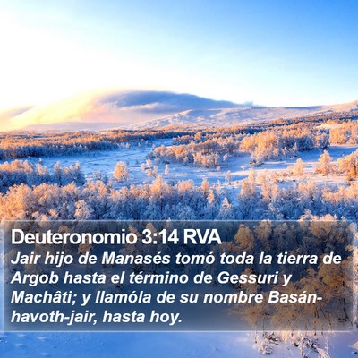 Deuteronomio 3:14 RVA Bible Verse Image
