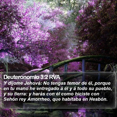 Deuteronomio 3:2 RVA Bible Verse Image