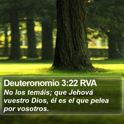 Deuteronomio 3:22 RVA Bible Verse Image