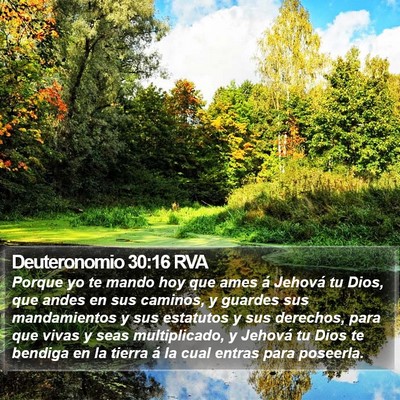 Deuteronomio 30:16 RVA Bible Verse Image
