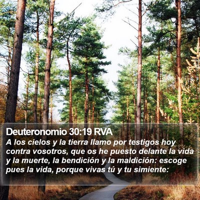 Deuteronomio 30:19 RVA Bible Verse Image
