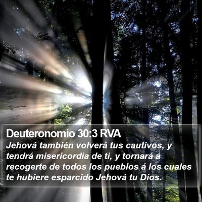 Deuteronomio 30:3 RVA Bible Verse Image