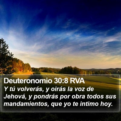 Deuteronomio 30:8 RVA Bible Verse Image