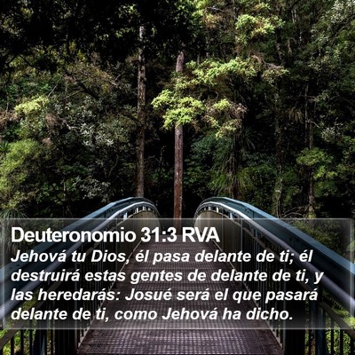 Deuteronomio 31:3 RVA Bible Verse Image