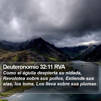Deuteronomio 32:11 RVA Bible Verse Image