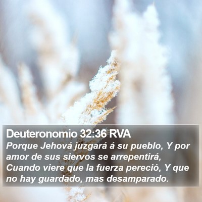 Deuteronomio 32:36 RVA Bible Verse Image