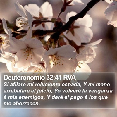 Deuteronomio 32:41 RVA Bible Verse Image