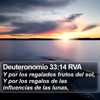 Deuteronomio 33:14 RVA Bible Verse Image