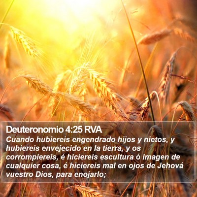 Deuteronomio 4:25 RVA Bible Verse Image