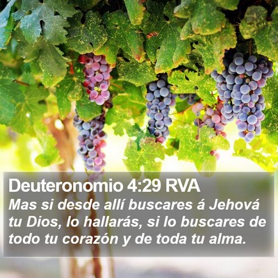 Deuteronomio 4:29 RVA Bible Verse Image