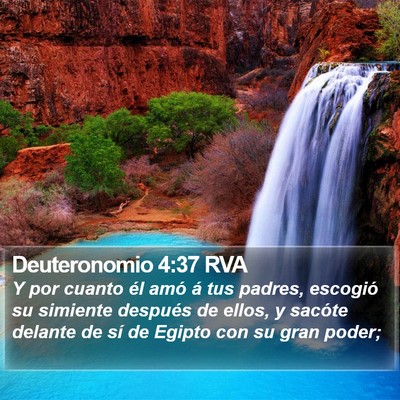 Deuteronomio 4:37 RVA Bible Verse Image