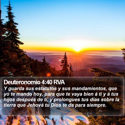 Deuteronomio 4:40 RVA Bible Verse Image