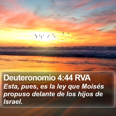 Deuteronomio 4:44 RVA Bible Verse Image