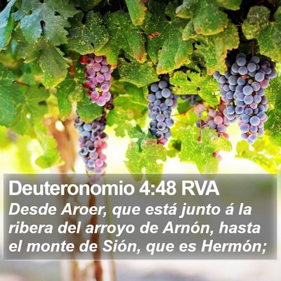 Deuteronomio 4:48 RVA Bible Verse Image