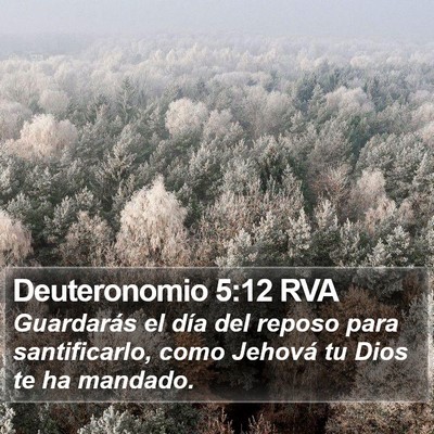 Deuteronomio 5:12 RVA Bible Verse Image