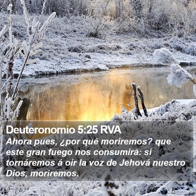 Deuteronomio 5:25 RVA Bible Verse Image