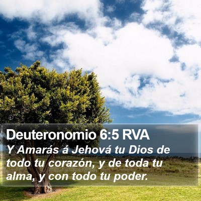 Deuteronomio 6:5 RVA Bible Verse Image