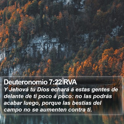 Deuteronomio 7:22 RVA Bible Verse Image