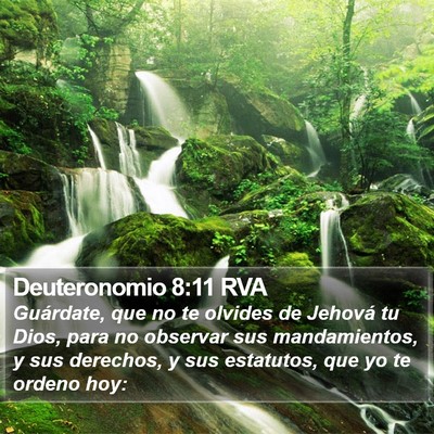 Deuteronomio 8:11 RVA Bible Verse Image